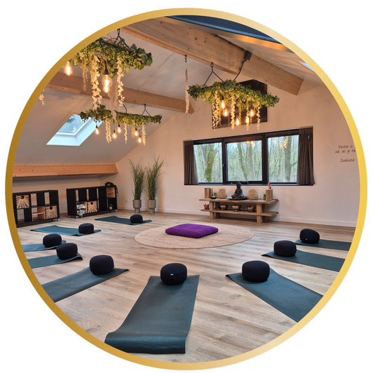 Yin yoga door Je Zachtkracht